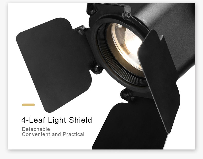 COB LED track light with 4 leaf light shield